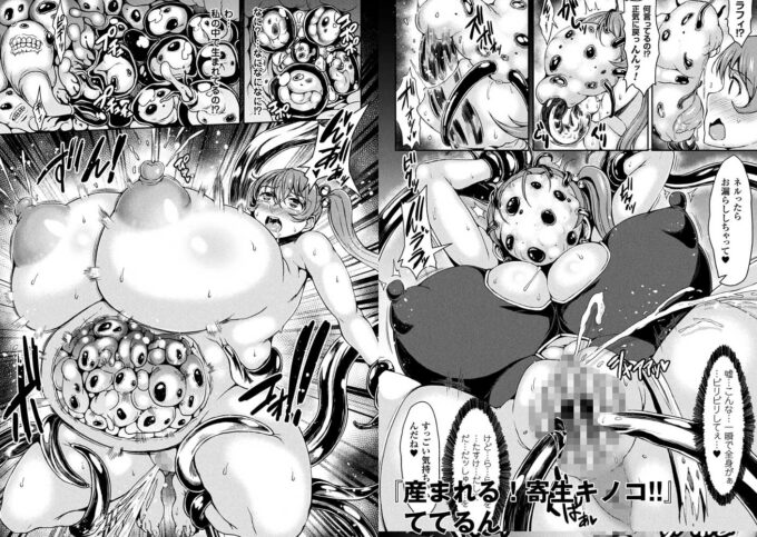 13二次元コミックマガジン 女騎士苗床化計画Vol.1