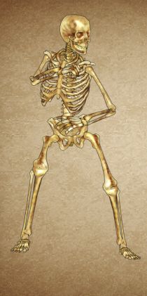 1FIGHTING GIRL SAKURA