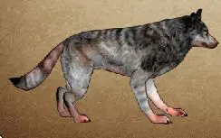 3FIGHTING GIRL SAKURA