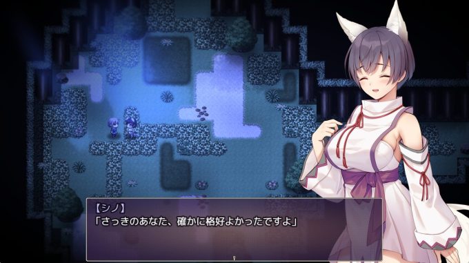 2片翼のシノーペ