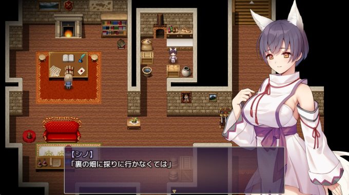 3片翼のシノーペ