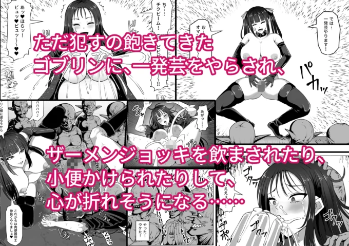 12ゴブリンの国