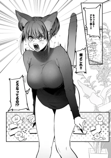 1メスネコ!ランホアちゃん